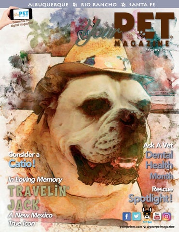 Your Pet Magazine February 2020